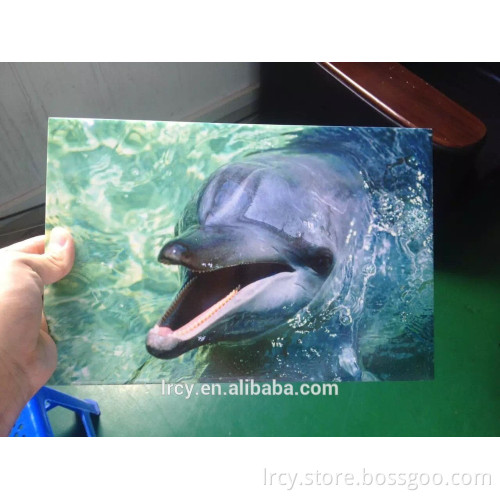 large 3d printer best price and good quality plastic uv inkjet printer